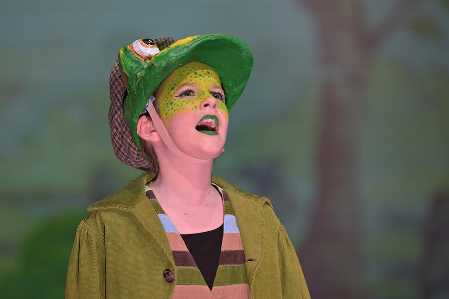 Wind in the Willows-0660
