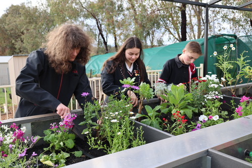 Tatachilla 2025  Tatachilla 2025